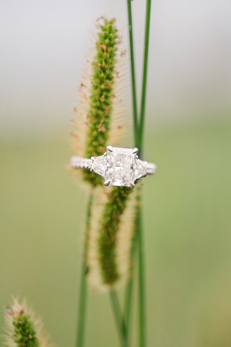Cory & Katie Engaged-84