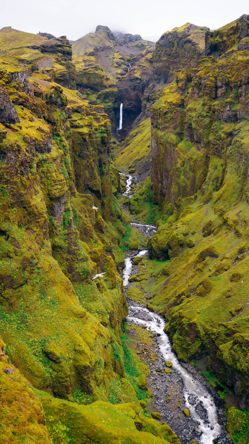 Waterfall in Iceland surrounded by green mossy cliffs