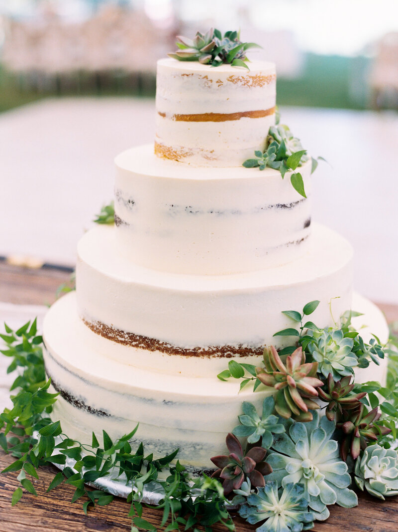Succulent Naked Wedding Cake