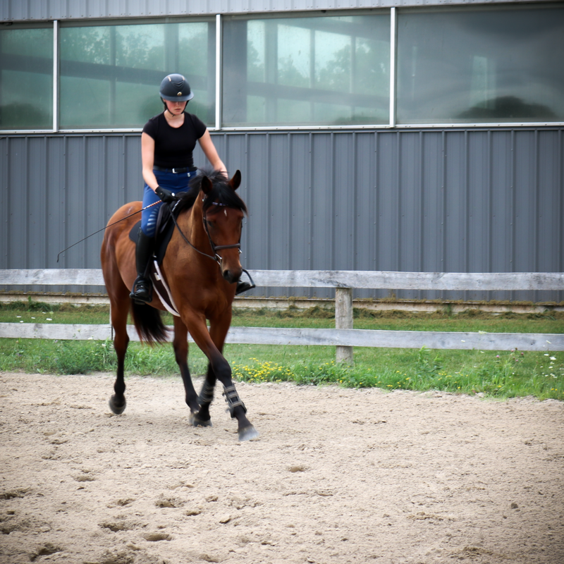Arabella Trot extension