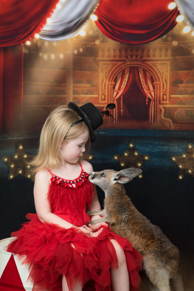 girl-in-red-ttdm-dress-looking-at-baby-kangaroo-in-srlington-tx-studio-circus-backdrop