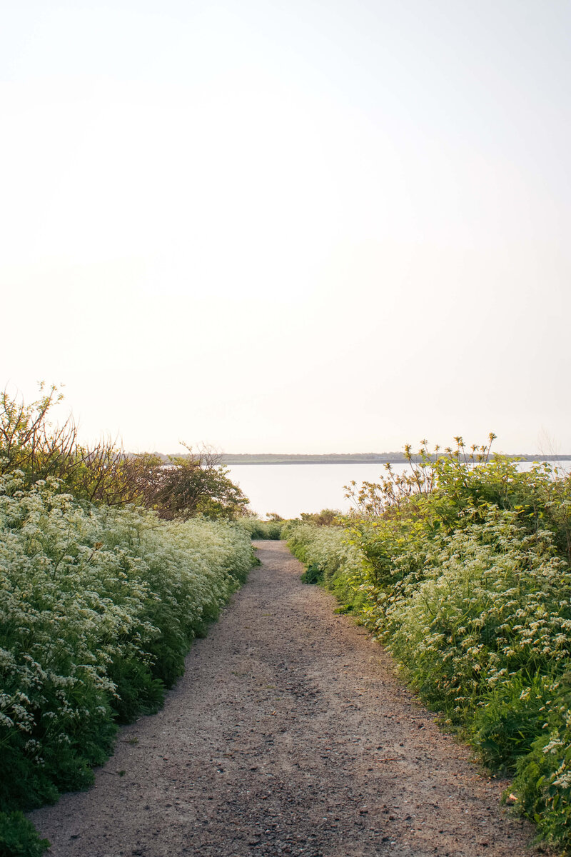 Nature trail lined with coastal flowers in Newport Rhode Island