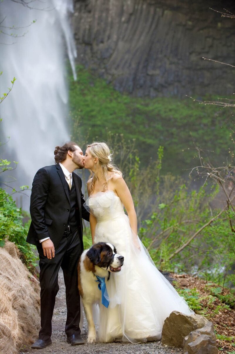 a bride and groom with their st bernard dog kiss with latourell falls in the background