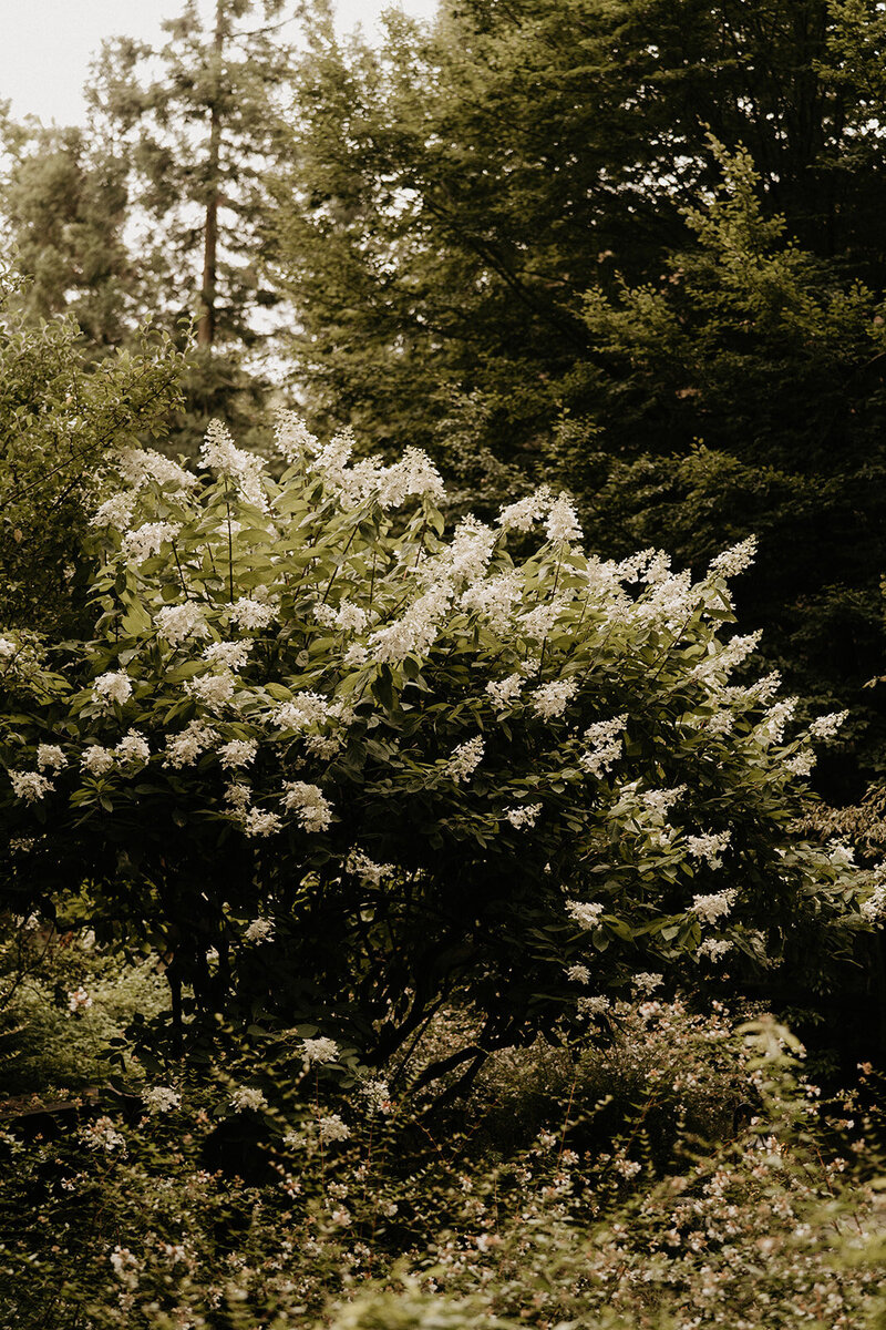 098_Avery_Alec_Wedding_8.21.21-931
