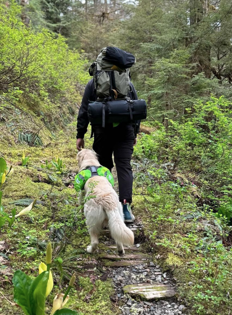 Man backpacking with his golden retreiver, dog is also wearing a back pack and heeling with her owner | Cornerstone Dog Training
