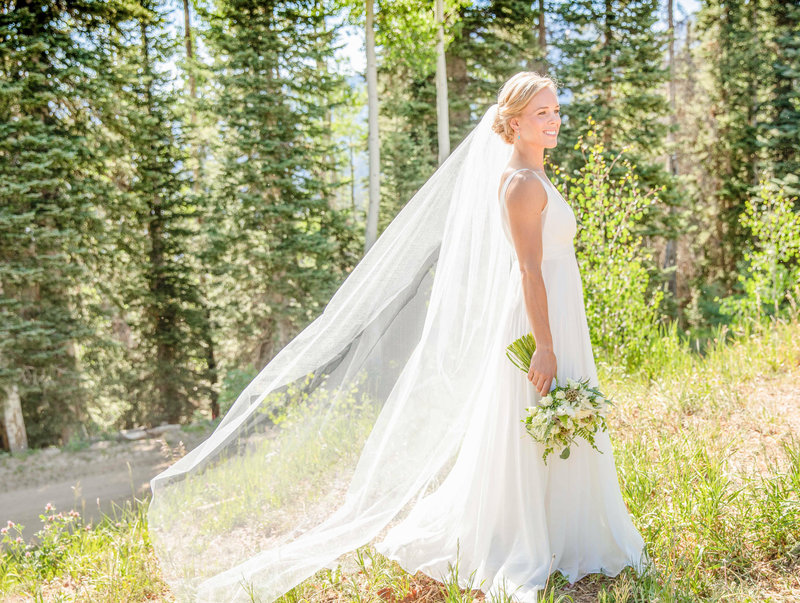 San sophia overlook wedding venue