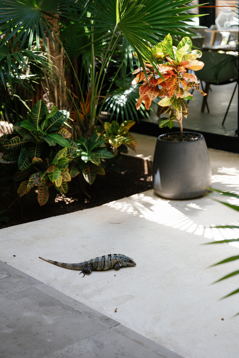 HM Cancun Wedding-052