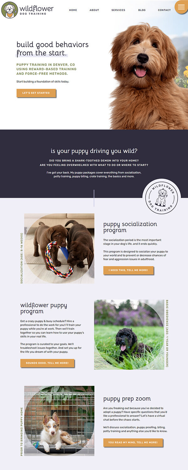 Showit Website Design For Puppy Trainer