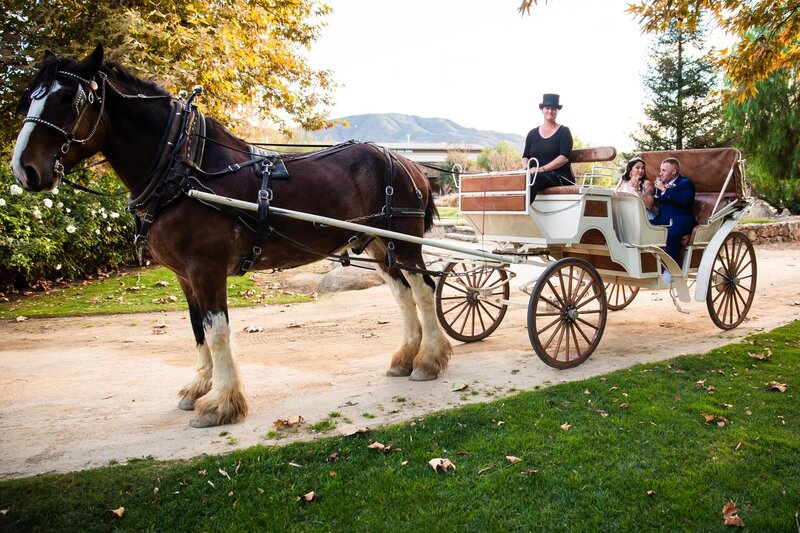 Bride and groom in a horse-drawn carriage after their wedding ceremony at Galway Downs by Wedgewood Weddings in Temecula