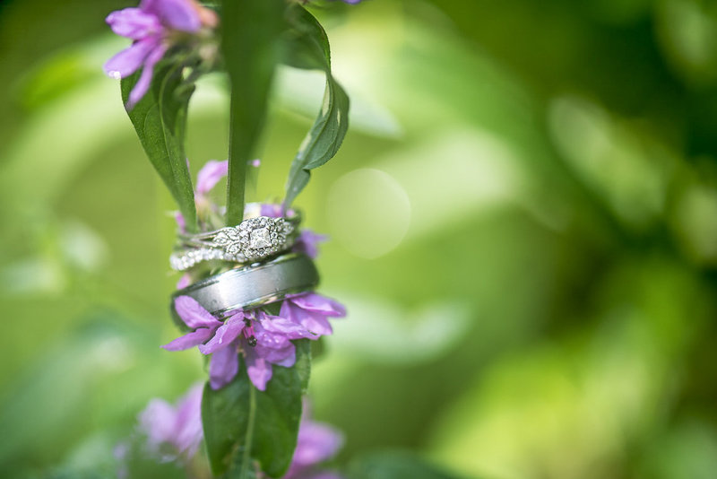 Wedding bands on green plant stalk with green background