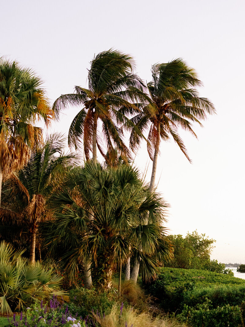 selby-gardens-wedding-julie-sumner-jake-ford-photography-nk-weddings_113