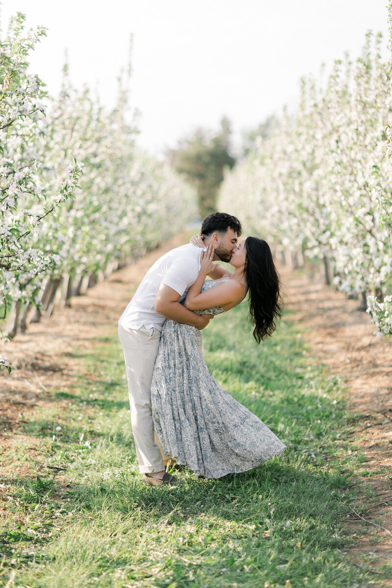 Terri-Lynn Warren Photography Halifax Wedding and Engagement Photographer Apple Blossoms-4479
