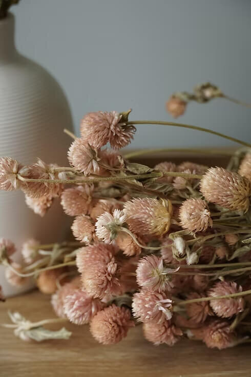 Dried Globe Amaranth Bunch (5)