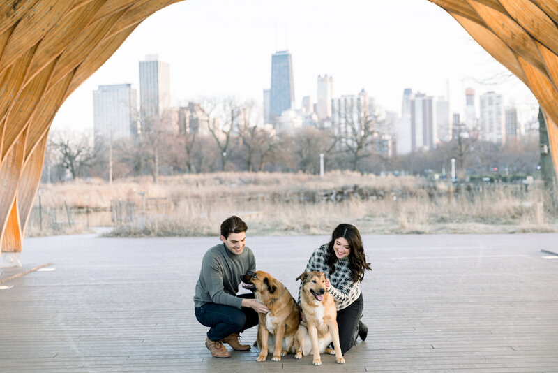 couple petting their dogs in chicago's lincoln park