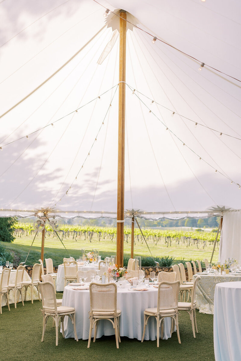 Robert & Mimi Wedding Preview-125