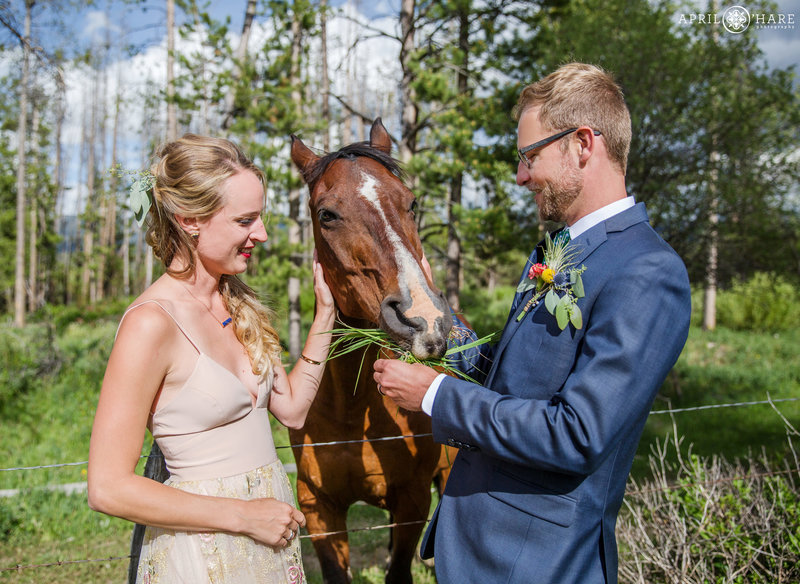 Wedding couple pets a horse at B Lazy 2 Ranch