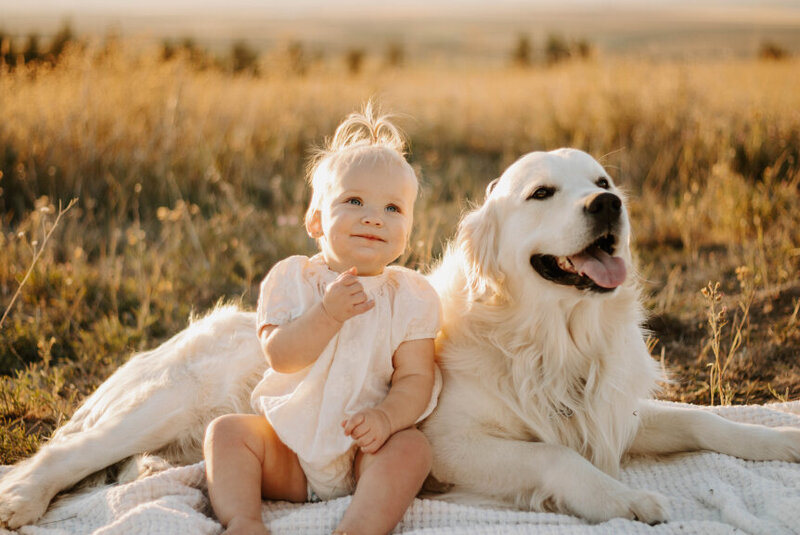 Cute baby sitting with a golden retriever