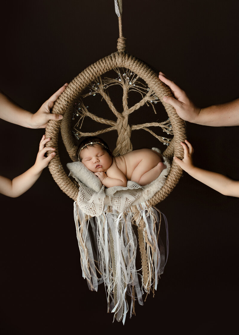 newborn baby hanging from tree of life swing in studio in oakland county michigan