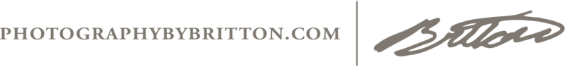 Birtton Logo Gray