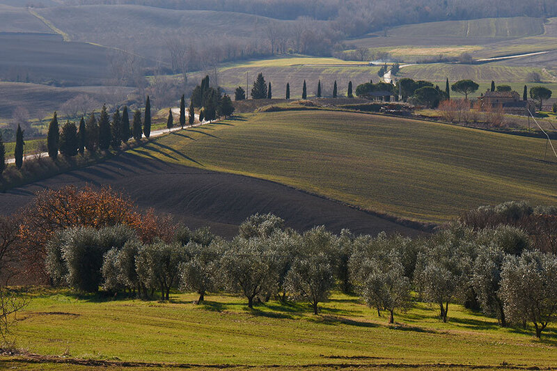Tuscany Landscape 2
