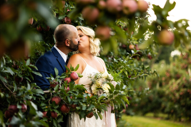 Bride and Groom kiss in the apple trees, Browns Orchard Wedding Photography