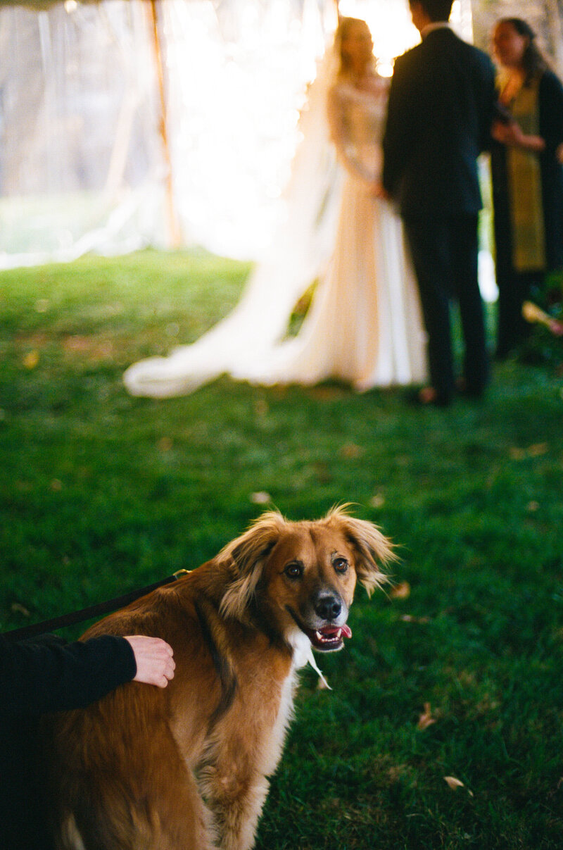 MWPhotography_Film_234