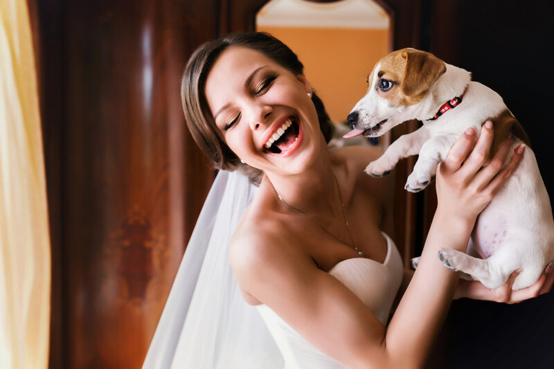 bride with veil holding a small white and tan dog.