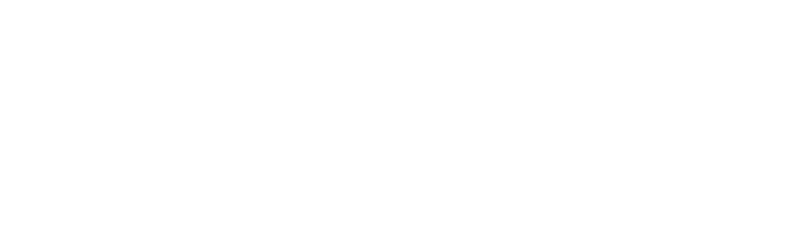 vanessa lynne photography logo