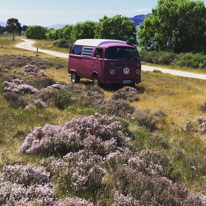 Posing in the purple thyme on the shores of Lake Dunstan, Central Otago, New Zealand is Pippi, purple retro kombi van from NZ Kombi Hire