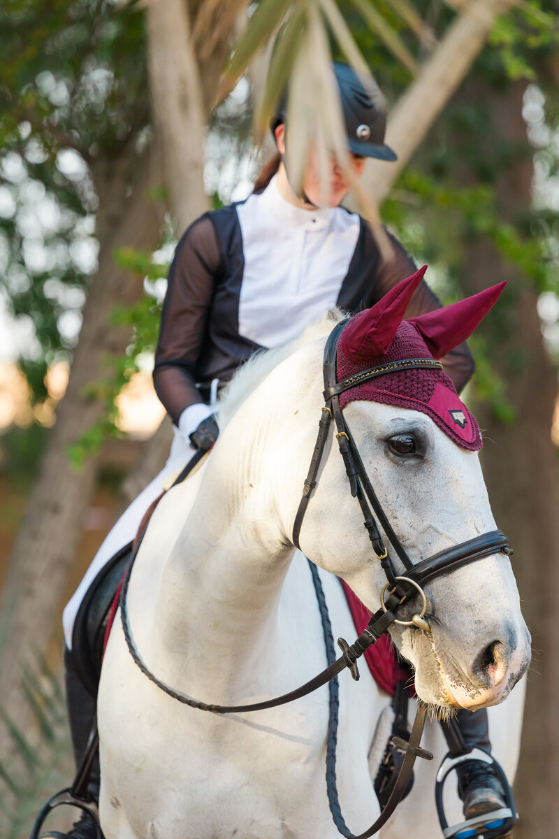 Girl riding brown horse