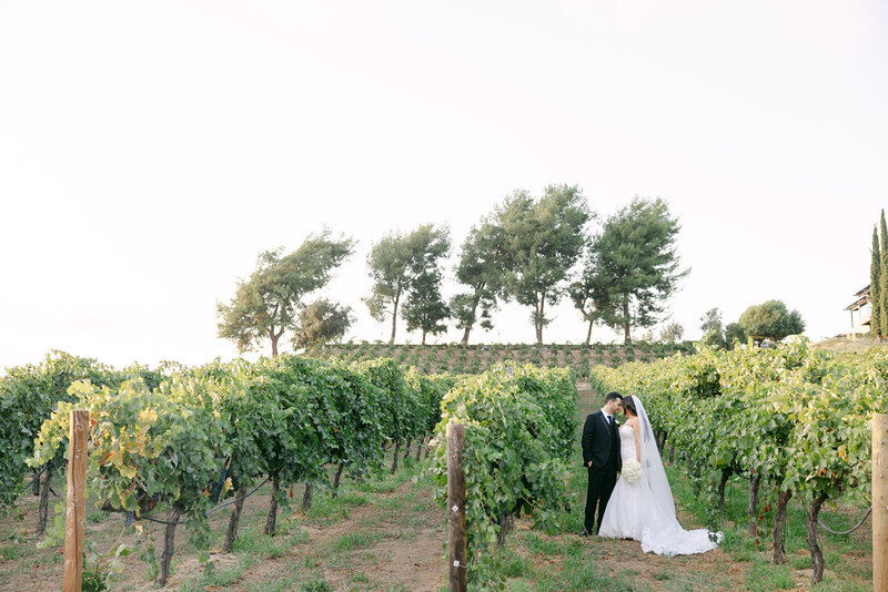 callaway-winery-wedding-temecula-photographer-40