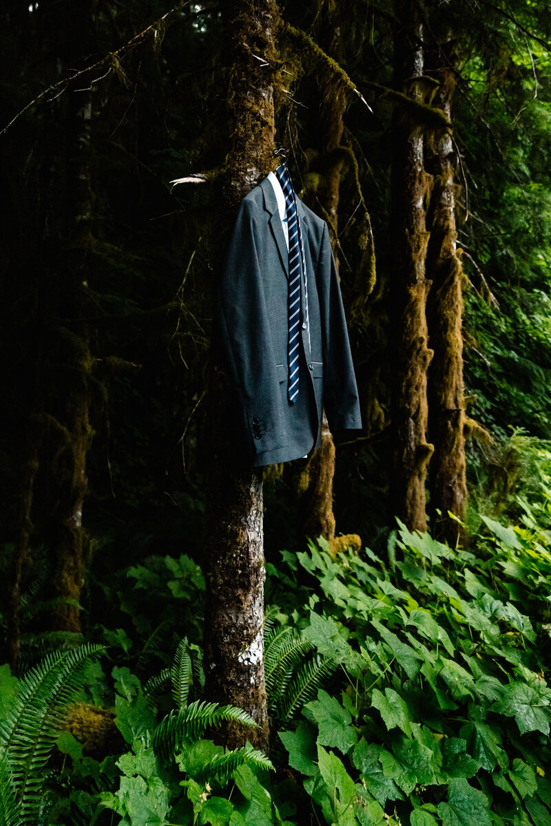 A suit hangs on a tree, waiting to be worn for an olympic national park elopement