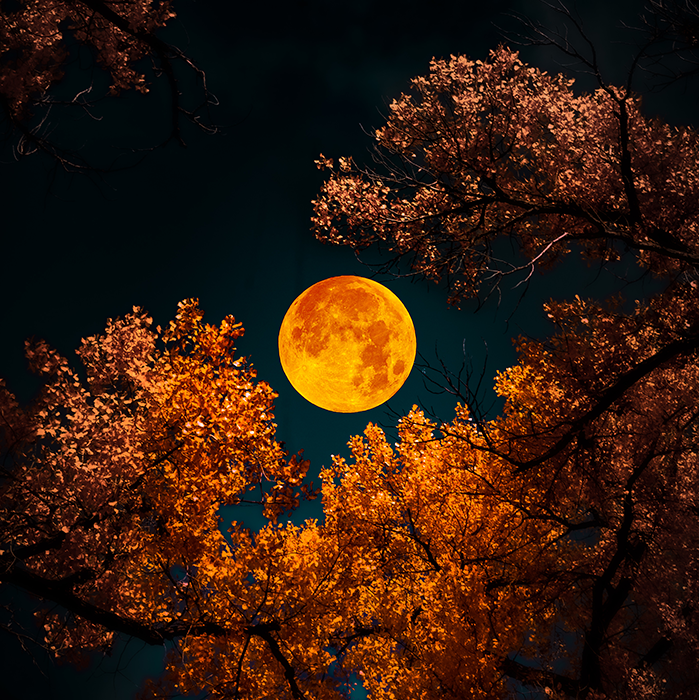full moon womens circle erik contreras
