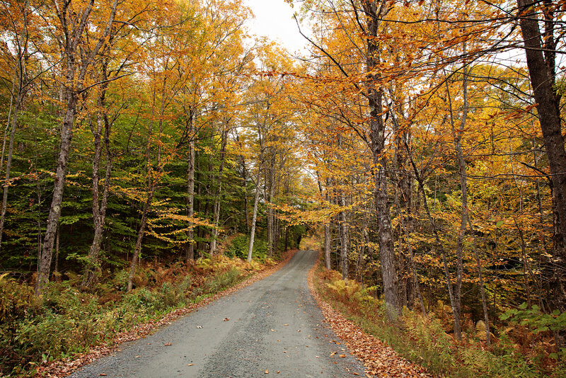 Scenic Autumn Road in Vermont with beautiful fall foliage and golden leaves