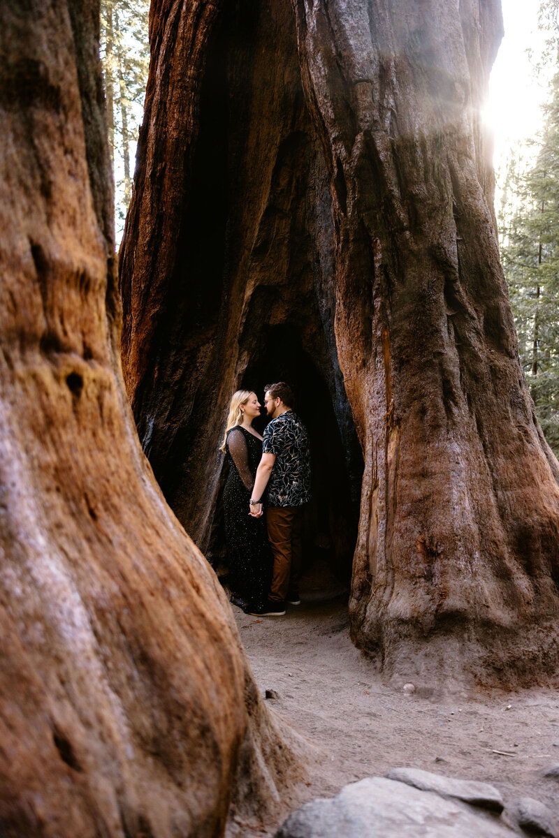 Sequoia National Park elopement Photographer3521