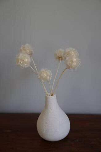 Preserved Scabiosa Bunch (5)