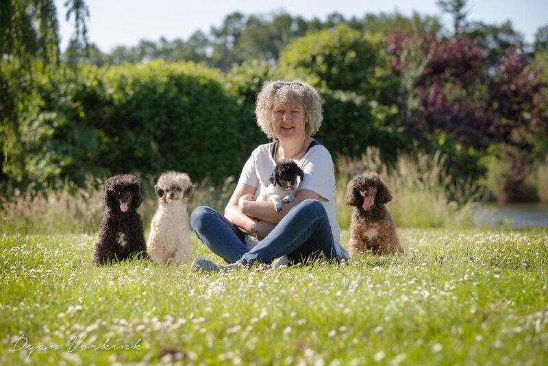 Ans Hengelman | Vriendelijke en vakkundige hondentrimster in de regio Hof van Twente