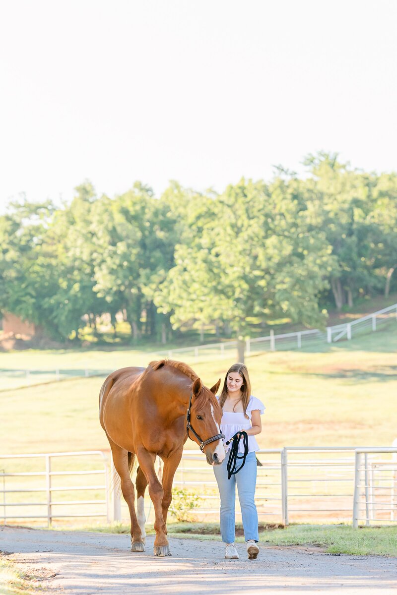 A high school equestrian walks her warmblood hunter gelding down the road at Cadence Equestrian Center in Edmond Oklahoma. It is early summer