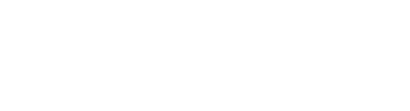 stacie and co alternate logo