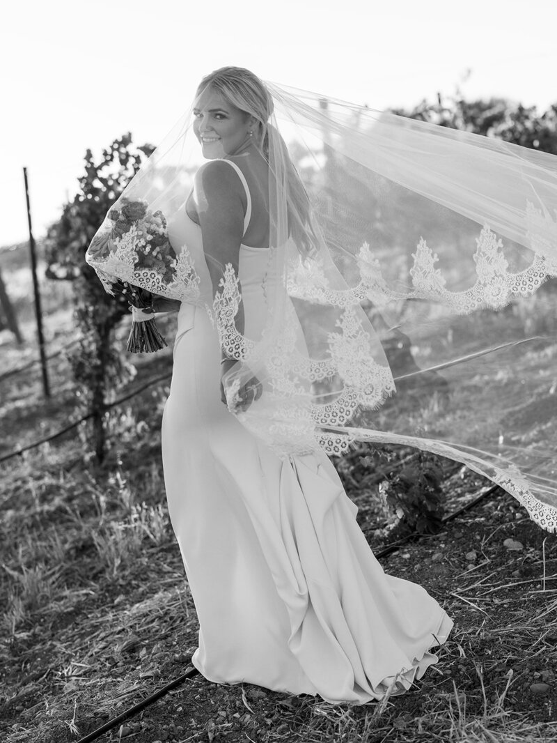 terra-mia-wedding-photos-540 terra-mia-wedding-photos-540