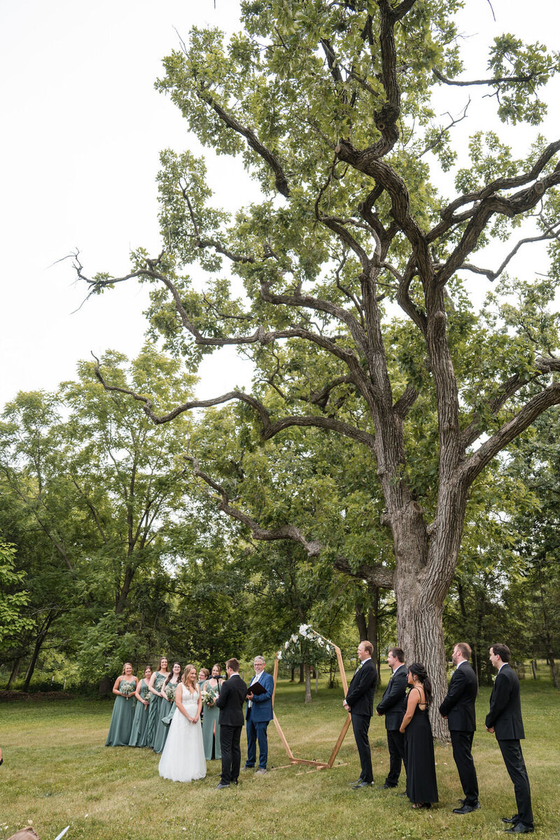 outdoor wedding ceremony under the ree at barnwood events in madison, winconsin.