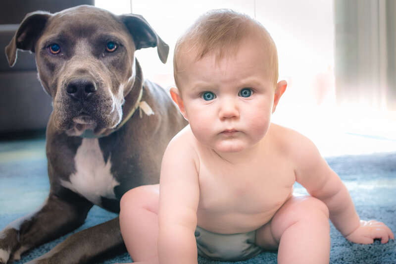 Baby and dog in home lifestyle photography