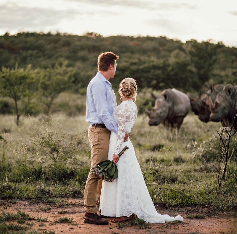 safari-elopement-south-africa