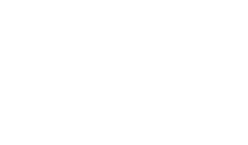 stacie and co full logo in white