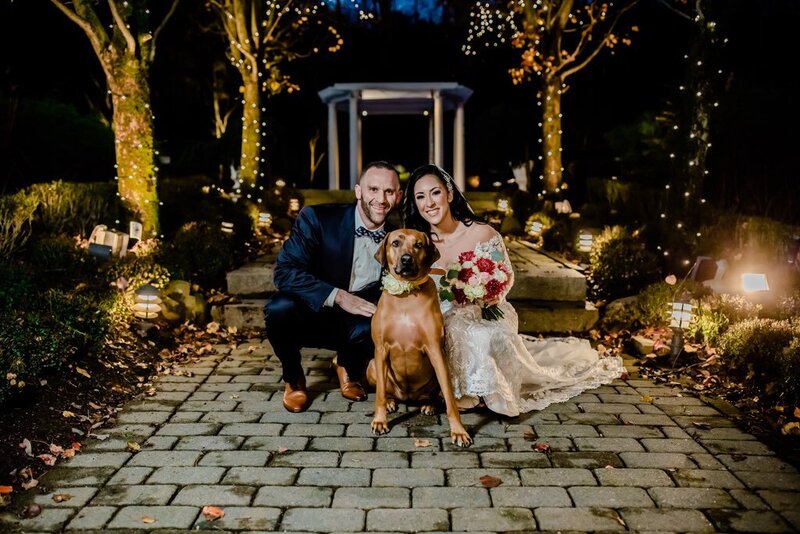 dog in wedding in New Jersey