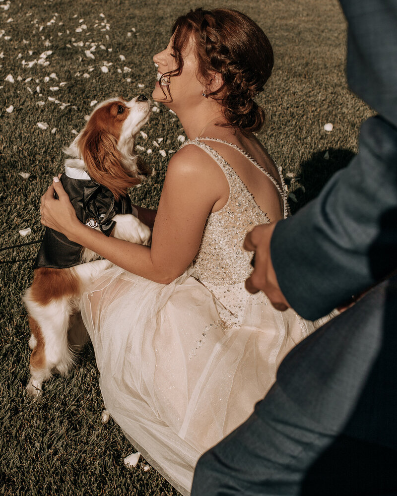 bride kissing her dog at their wedding day