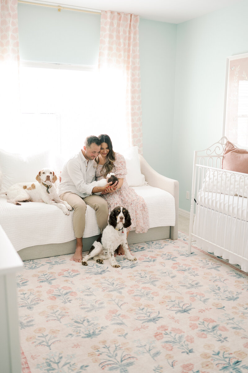 San Antonio Newborn photographer in baby girl nursery with dogs