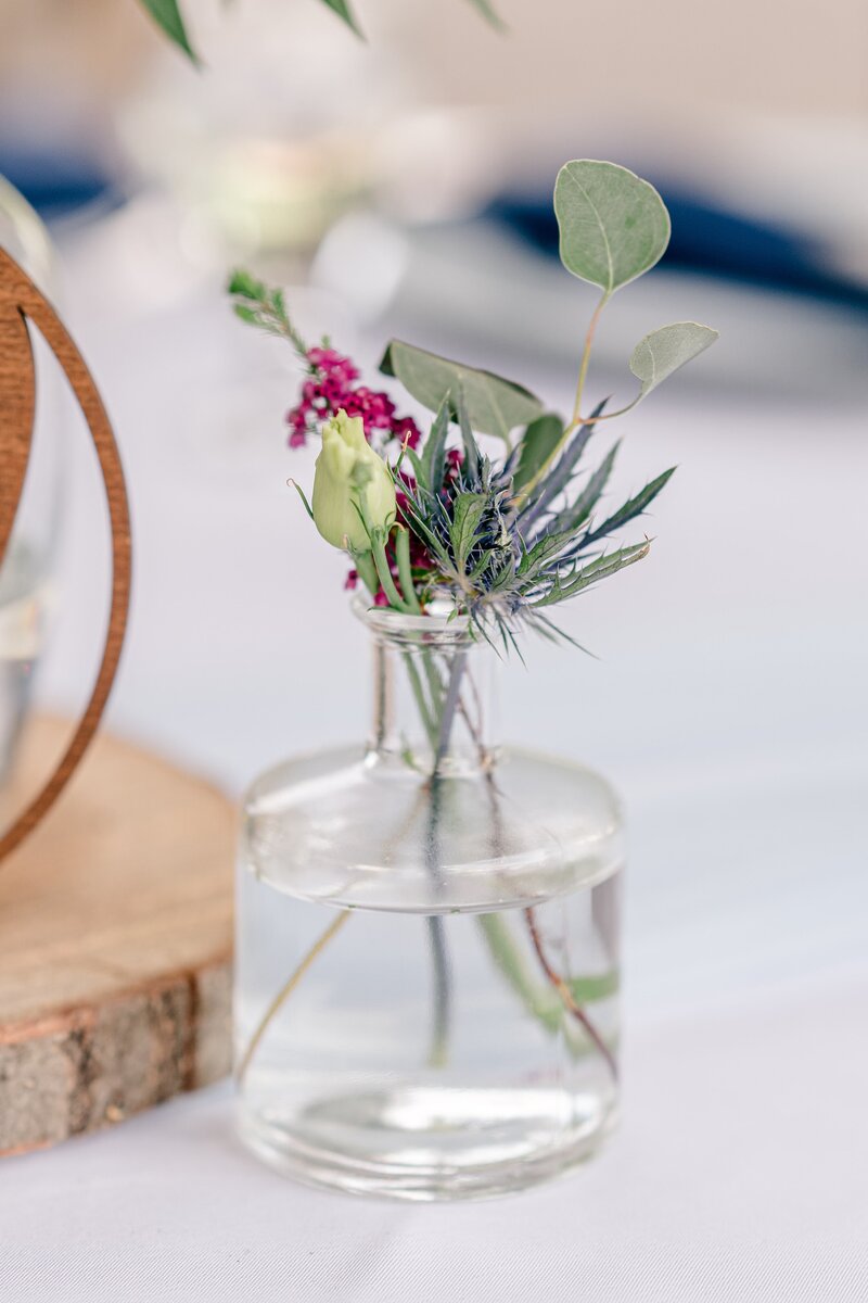 vibrant-farm-wedding-in-waterford-virginia-00046