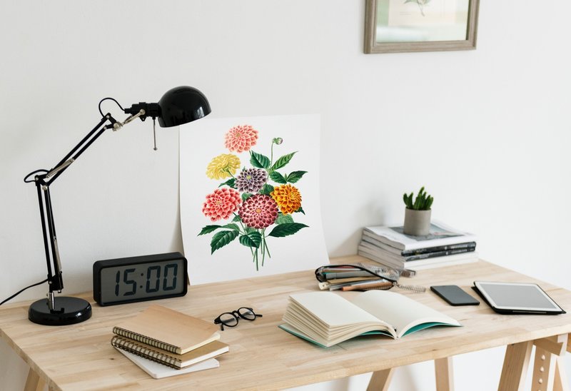 rawpixel-596098-unsplash