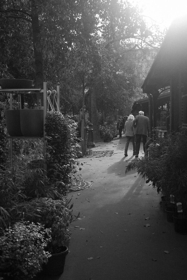 couple walking together in garden